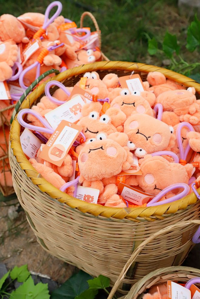 冰箱贴缘何成了“社交货币”瓦力棋牌游戏江南观察 小小(图2)